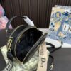Replica Dior Bag 20*17CM