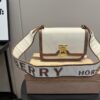 Replica Burberry Bag 21*16CM
