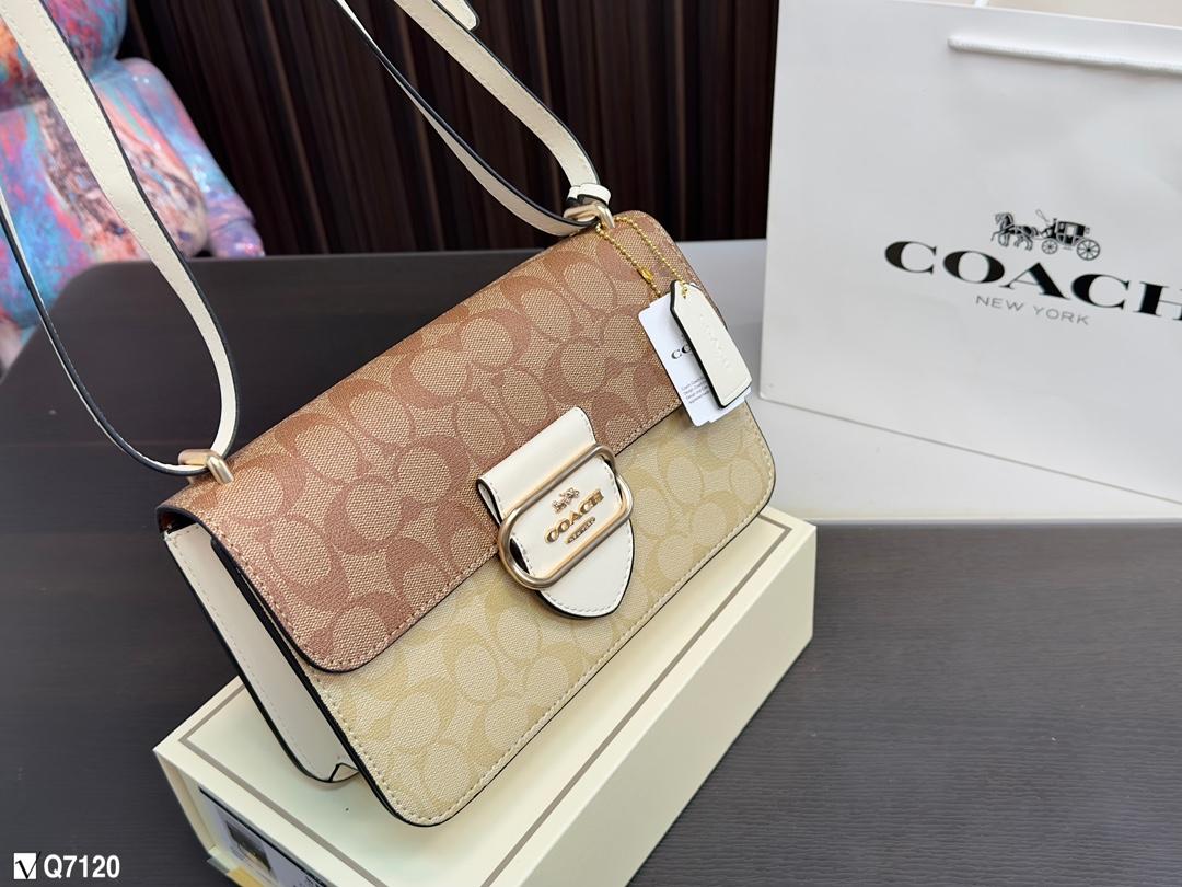 Replica Coach Bag 24*14CM