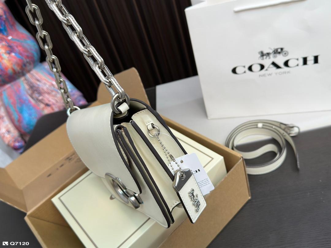 Replica Coach Bag 21*13CM