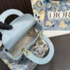 Replica Dior Bag 17*20CM