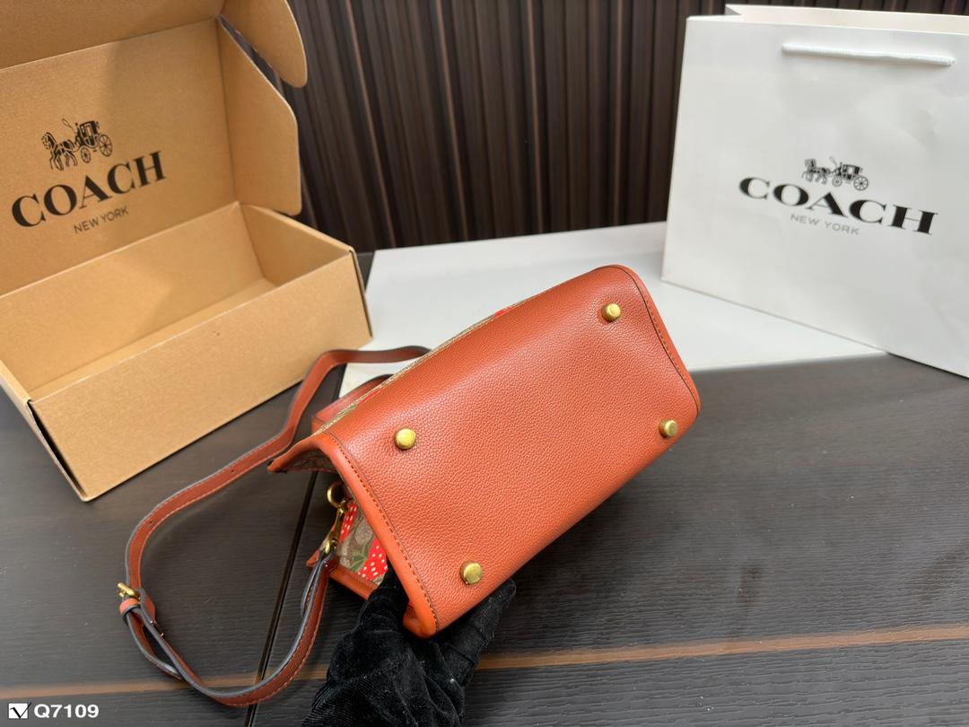 Replica Coach Bag 21*21CM