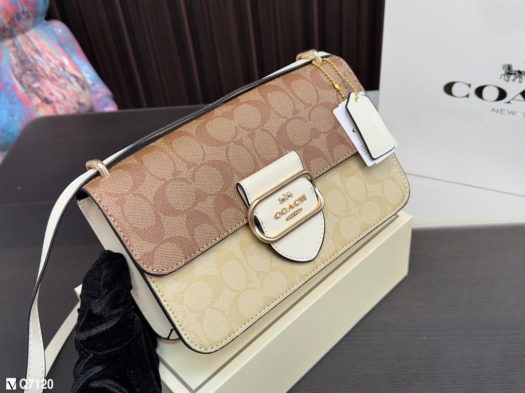 Replica Coach Bag 24*14CM