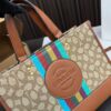 Replica Coach Bag 22*29CM