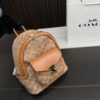 Replica Coach Bag 22*24CM