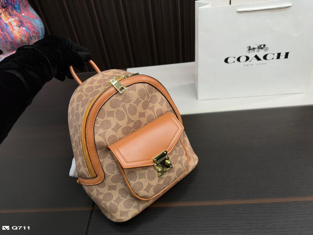 Replica Coach Bag 22*24CM