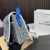 Replica Coach Bag 21*CM