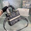 Replica Dior Bag 24*21CM
