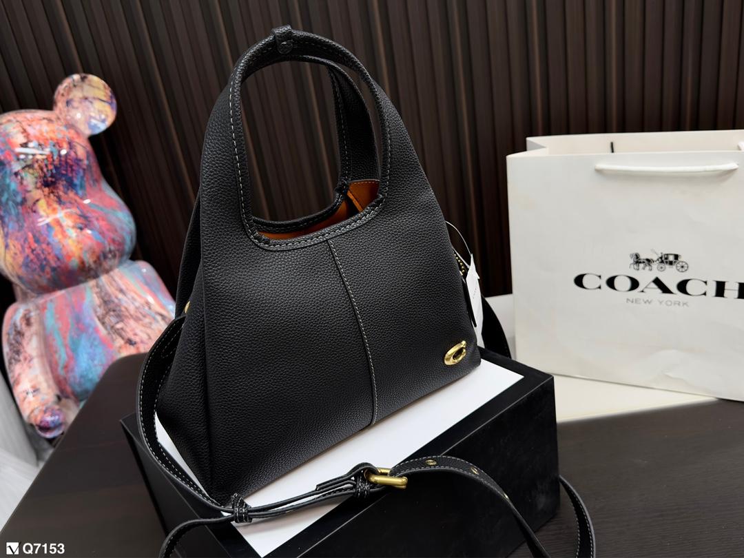 Replica Coach Bag 25*18CM