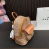 Replica Coach Bag 22*24CM