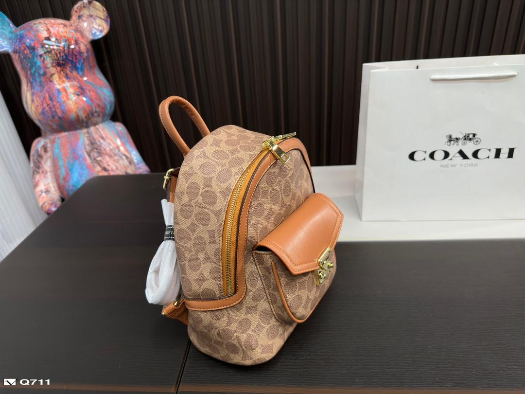 Replica Coach Bag 22*24CM