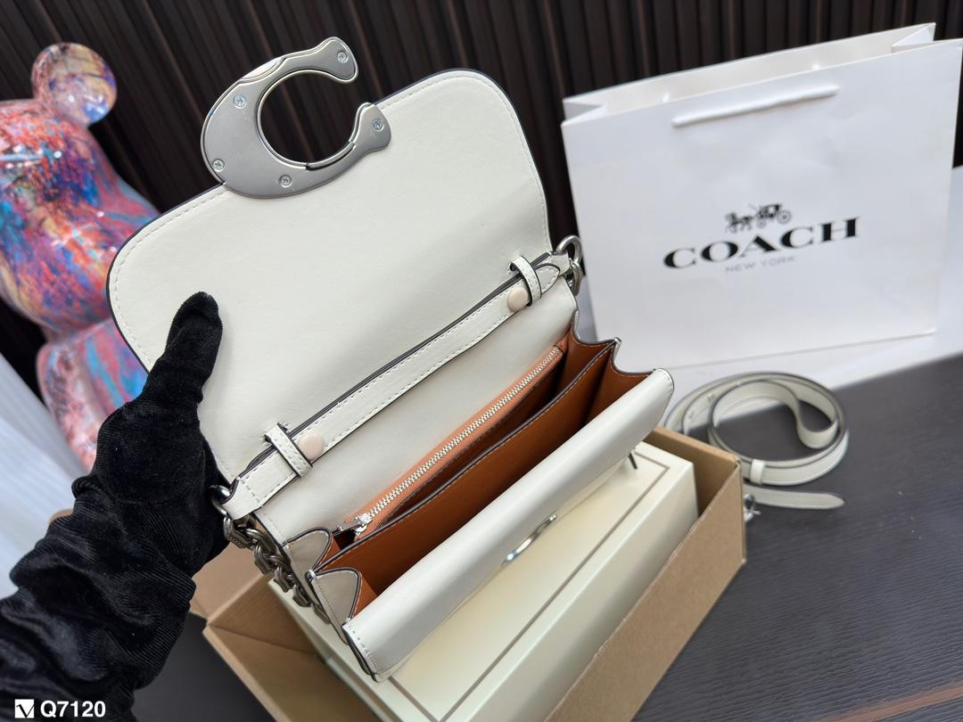 Replica Coach Bag 21*13CM