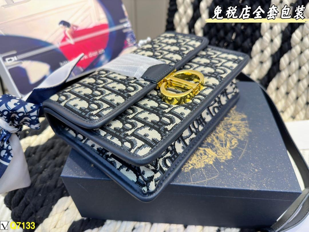 Replica Dior Bag 21*15CM