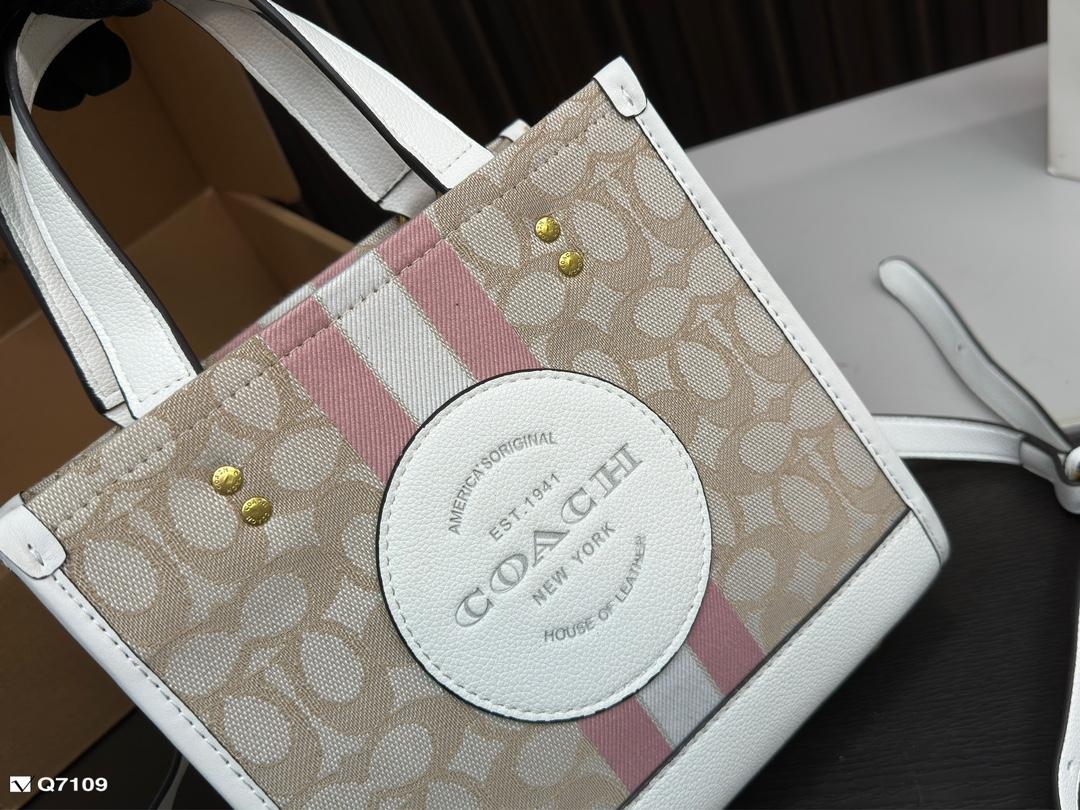 Replica Coach Bag 21*21CM