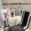 Replica Dior Bag 20*5*11CM
