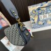 Replica Dior Bag 23*16CM