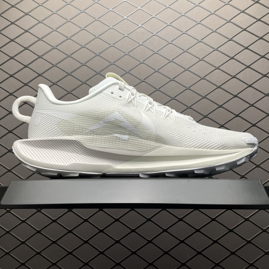 Replica Nike Shoe Nike Peactx Pegasus Trail 5 DV3864-101