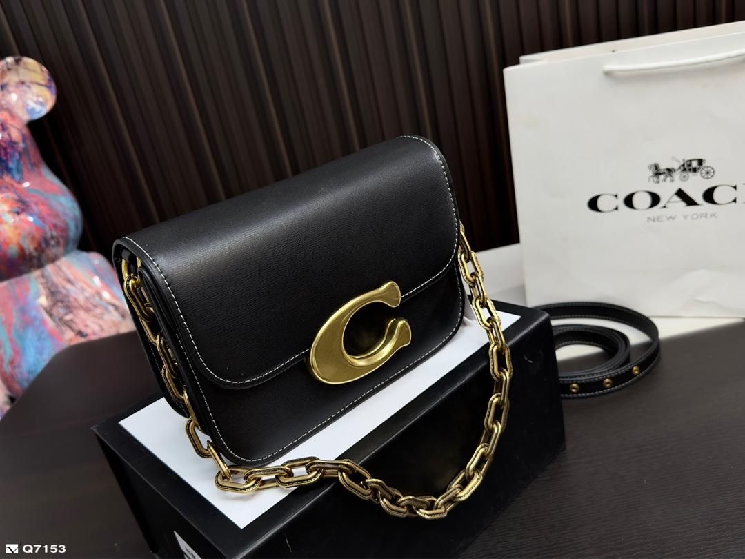 Replica Coach Bag 20*15CM