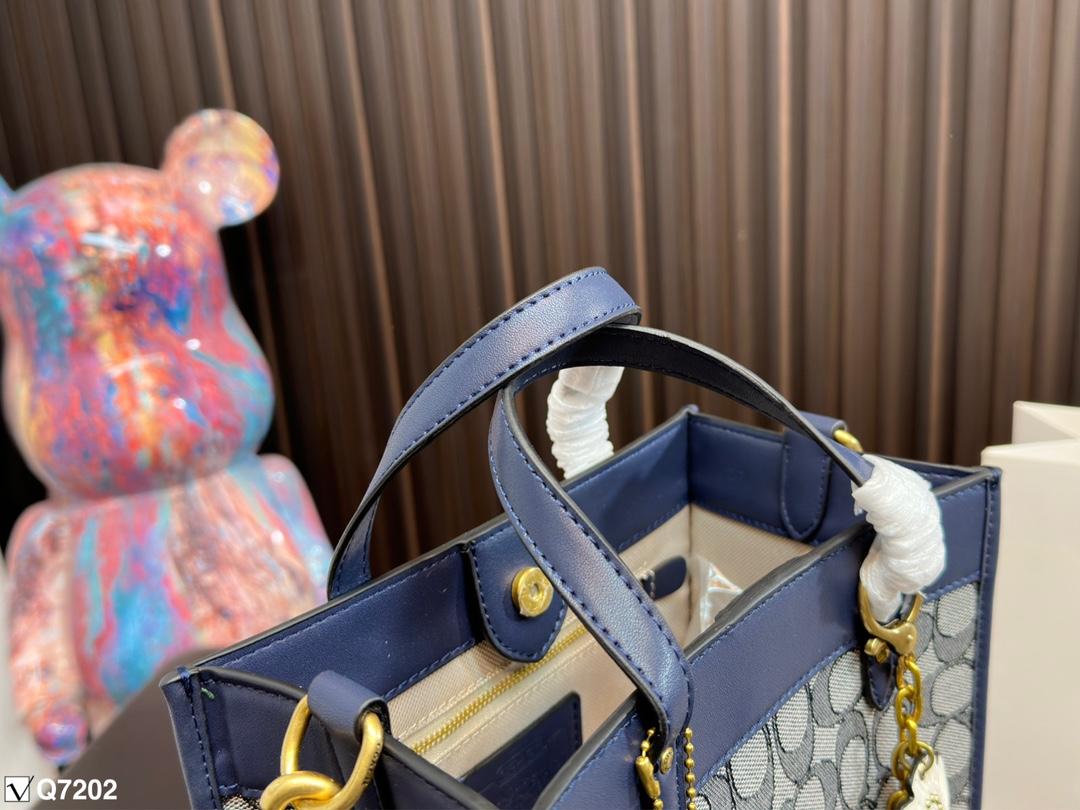 Replica Coach Bag 21CM