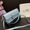 Replica Coach Bag 15*26CM