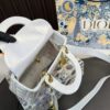 Replica Dior Bag 17*20CM