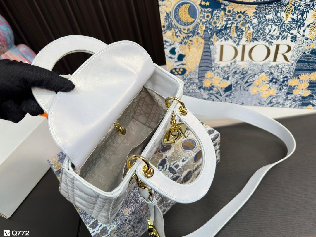 Replica Dior Bag 17*20CM