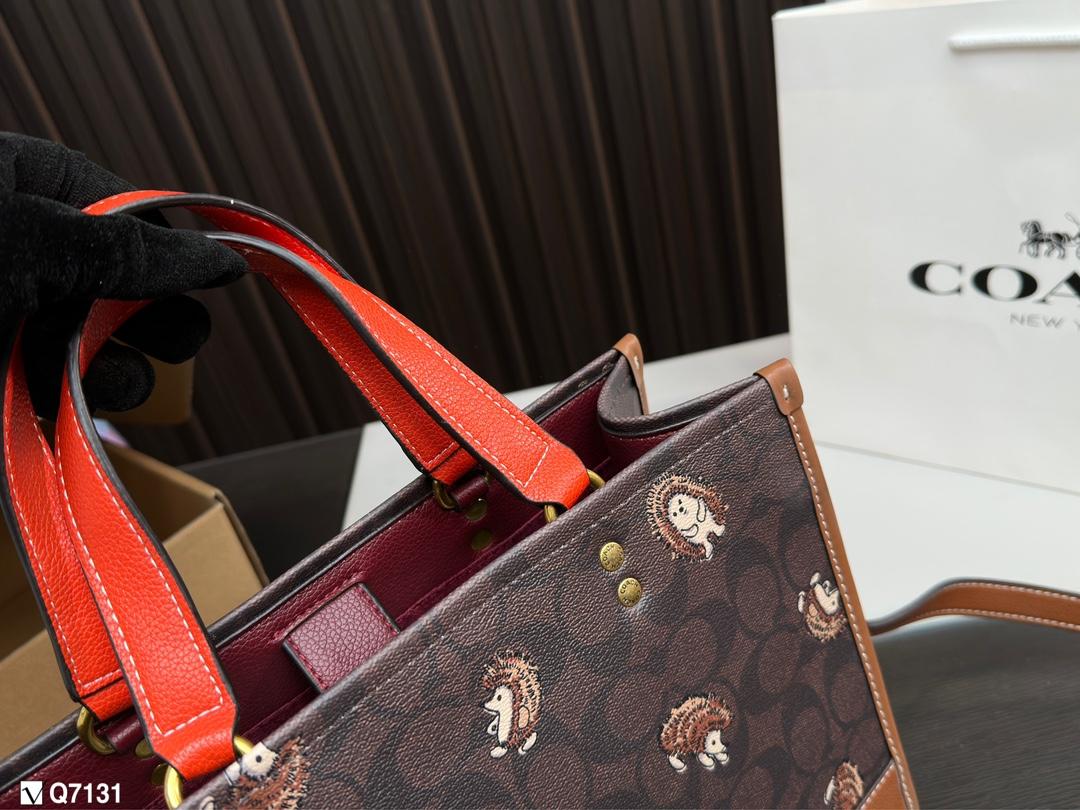 Replica Coach Bag 22*29CM
