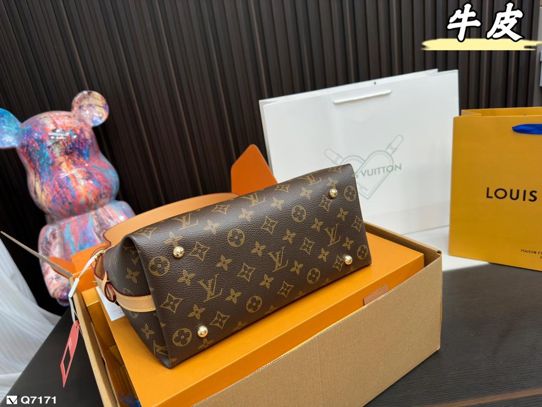 Replica Louis Vuitton Bag 29*22CM/38*28CM