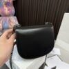 Replica Celine Bag 19*16CM