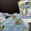 Replica Dior Bag 17*20CM