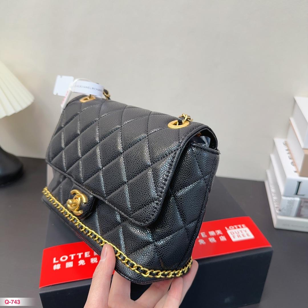 Replica Chanel Bag 23*16CM