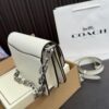 Replica Coach Bag 21*13CM