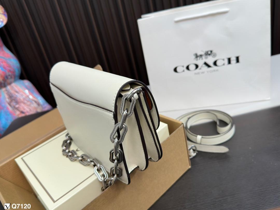 Replica Coach Bag 21*13CM