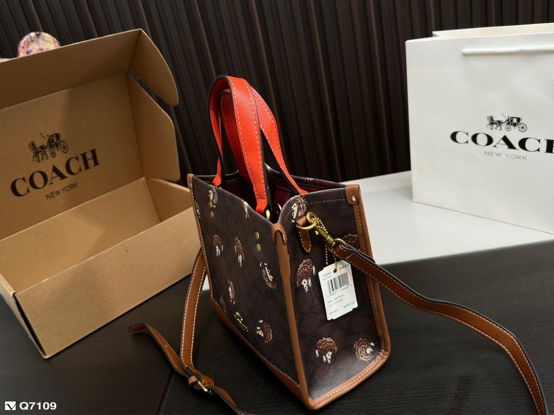Replica Coach Bag 21*21CM