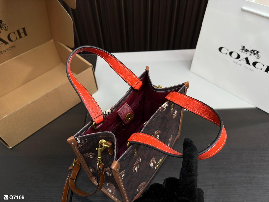 Replica Coach Bag 21*21CM