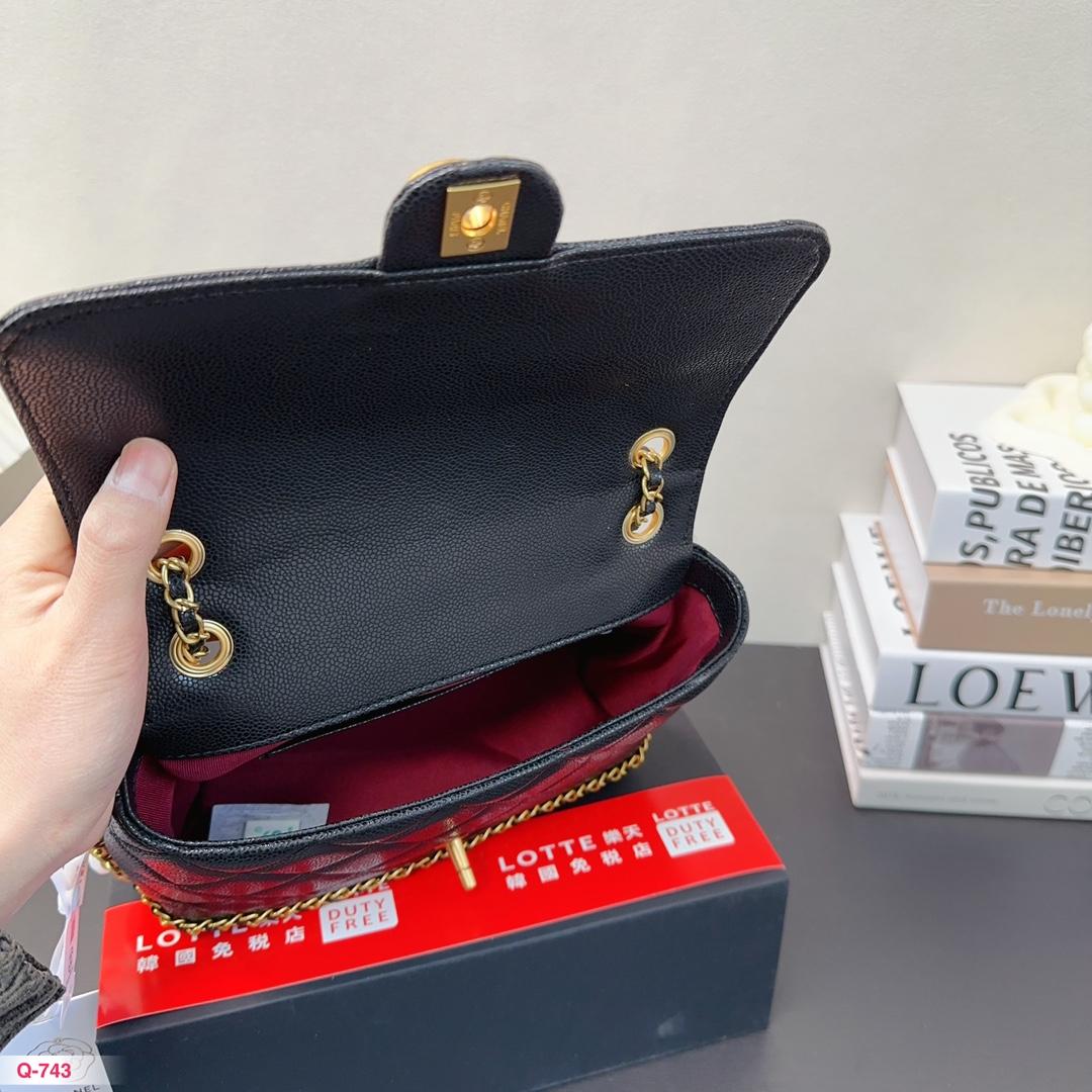 Replica Chanel Bag 23*16CM
