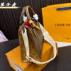 Replica Louis Vuitton Bag 24*19CM