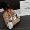 Replica Coach Bag 22*24CM