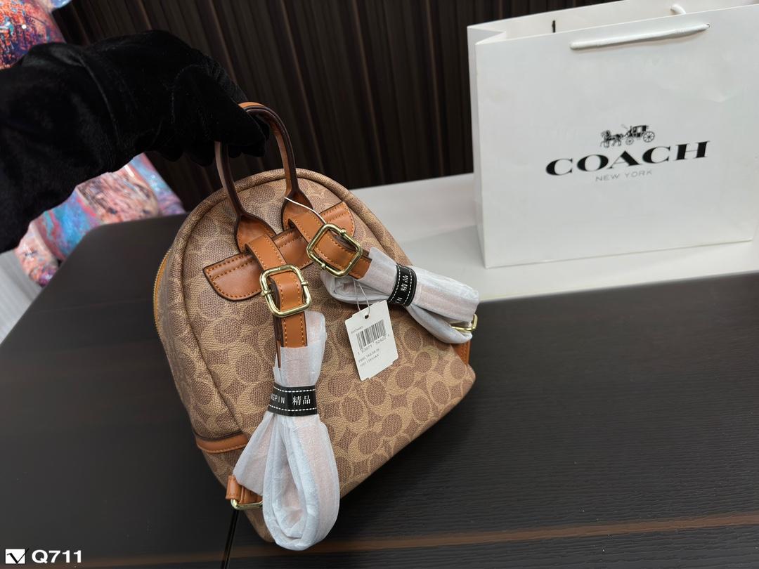 Replica Coach Bag 22*24CM