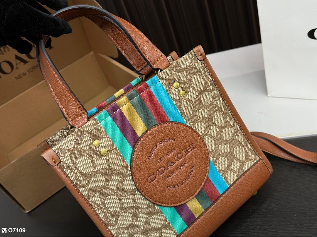 Replica Coach Bag 21*21CM