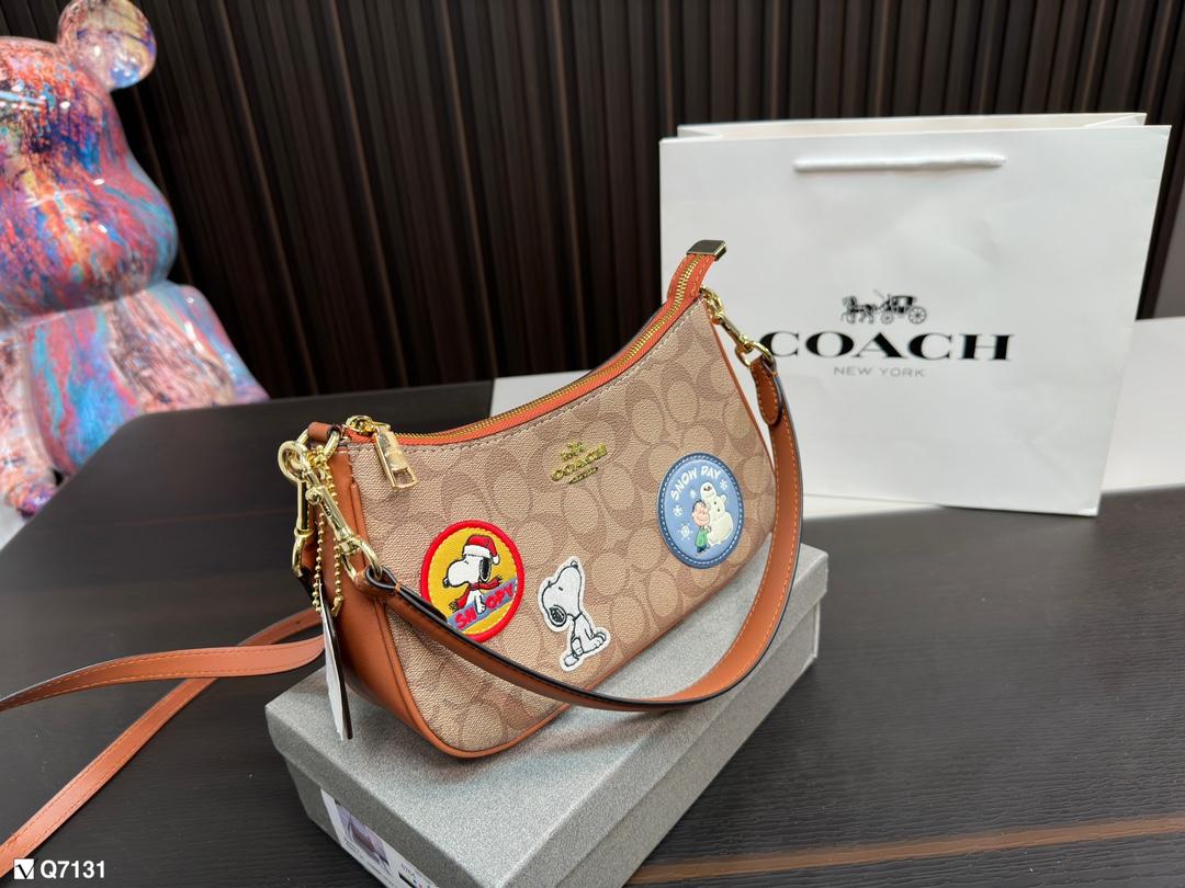 Replica Coach Bag 12*23CM
