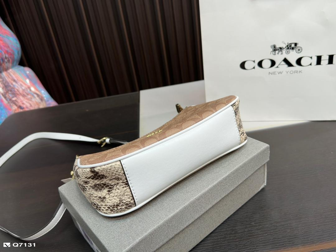 Replica Coach Bag 12*23CM