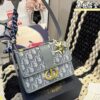 Replica Dior Bag 21*15CM