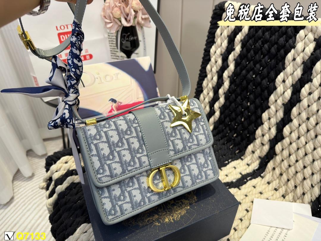 Replica Dior Bag 21*15CM
