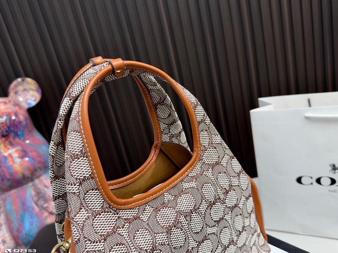 Replica Coach Bag 25*18CM