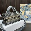 Replica Dior Bag 20*13CM
