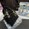 Replica Dior Bag 17*20CM