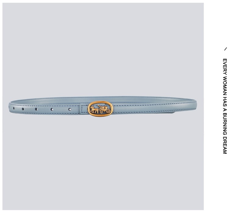 Replica COACH belt
