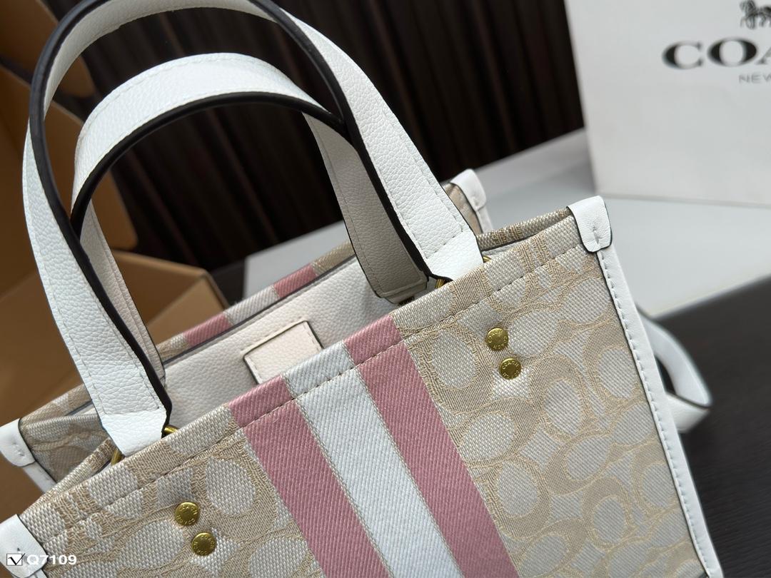 Replica Coach Bag 21*21CM