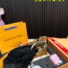Replica Louis Vuitton Bag Set 20CM